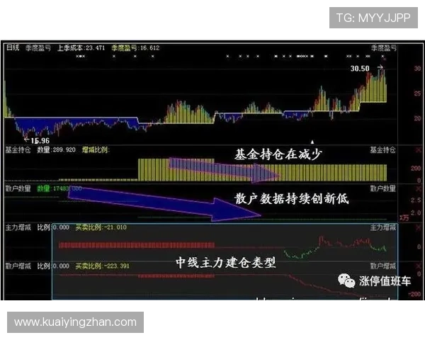 十一选五精彩视频集锦，带你深度解析投注技巧与中奖秘诀，助力实现稳健盈利